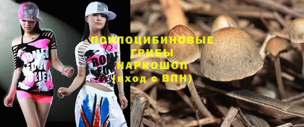 круглые Абаза