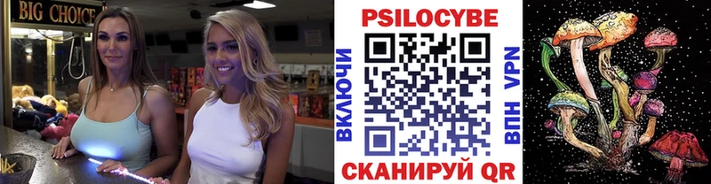 мега ССЫЛКА  сколько стоит  Черепаново  Псилоцибиновые грибы GOLDEN TEACHER 